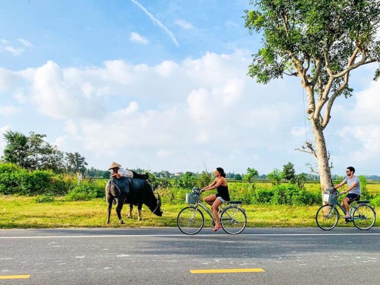 From Hoi An: Eco-Life Tour by Bicycle to Cam Kim Island - Booking Details
