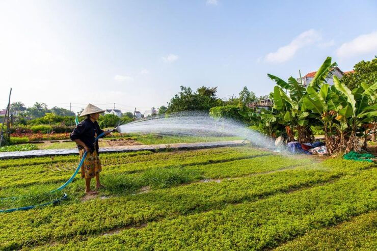 From Hoi An: Half-Day Tra Que Vegetable Village Bike Tour - Activity Details