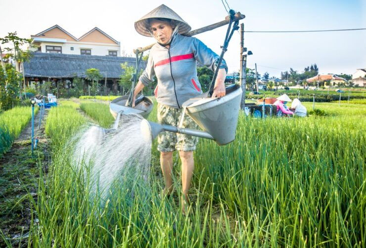 From Hoi An: Half-Day Tra Que Vegetable Village Bike Tour - Tour Description