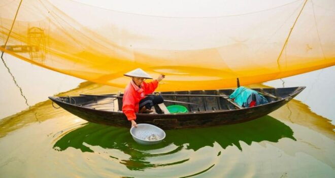 FROM HOI AN: TOUR-THE COUNTRYSIDE OF HOI AN BY VESPA - Agricultural Activities Explored