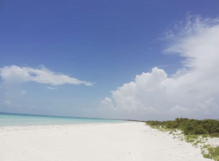 From Holbox, Fishing & Snorkel in Cabo Catoche - Fishing Experience