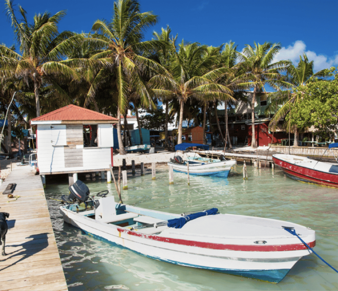 From Holbox: One Way Shared Transfer to Playa Del Carmen - Highlights of Playa Del Carmen