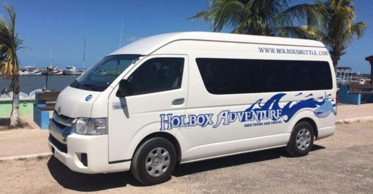 From Holbox: Private Transportation to Cancun - Experience Highlights
