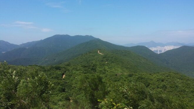 From Hong Kong City: The Dragons Back Hiking Tour - Customer Reviews