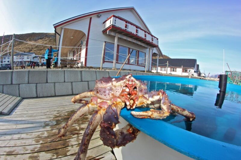 From Honningsvåg: VIP North Cape and Kingcrab Tour - Good To Know