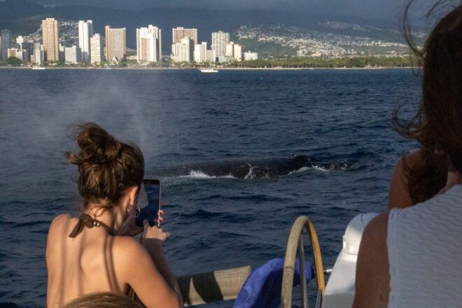 From Honolulu: Private Catamaran Cruise With Captain & Crew - Important Information for Participants