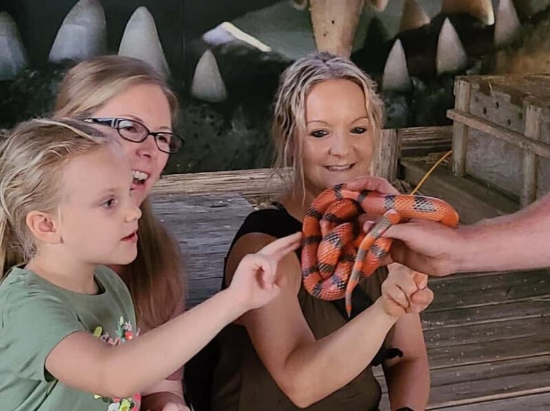 From Houston: Crocodile Encounter Entry Ticket - Who Should Consider This Tour?