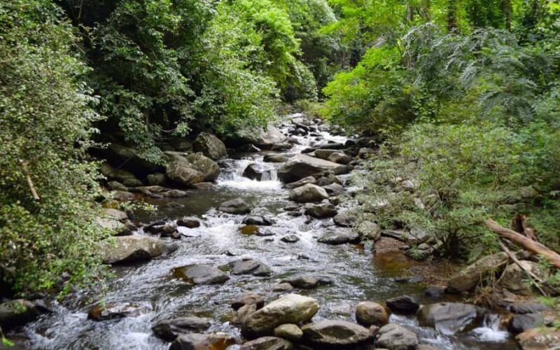 From Hua Hin: Pala U Waterfall and Huay Mongkol Temple Tour - Practical Tips for Making the Most of This Tour