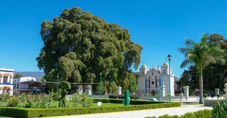 From Huatulco: 2 Days Excursion to Oaxaca City - Mezcal Tasting Experience