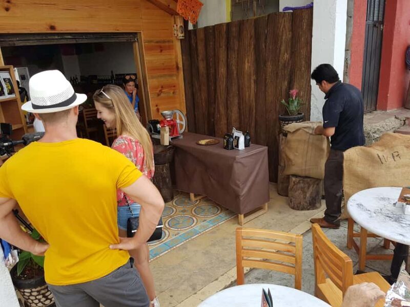 From Huatulco: 3 Levels, Coffee, Culture, and Nature Tour - The Sum Up