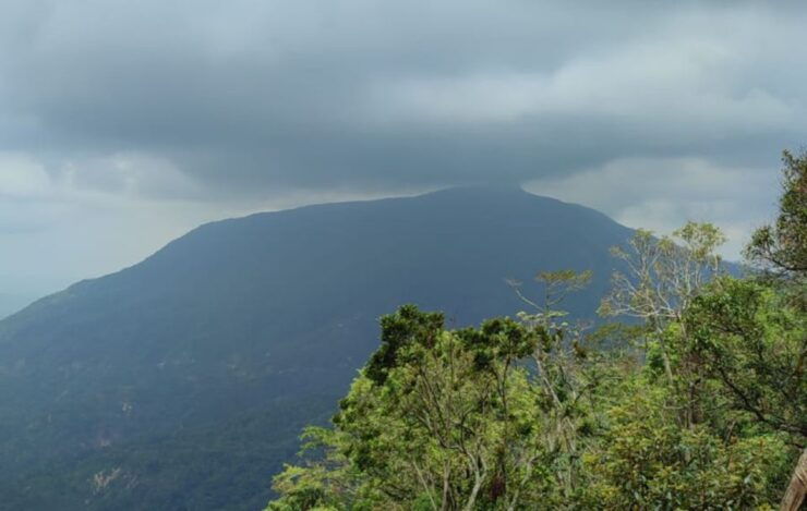 From Huatulco: Coffee and Mezcal Tour - Tour Highlights
