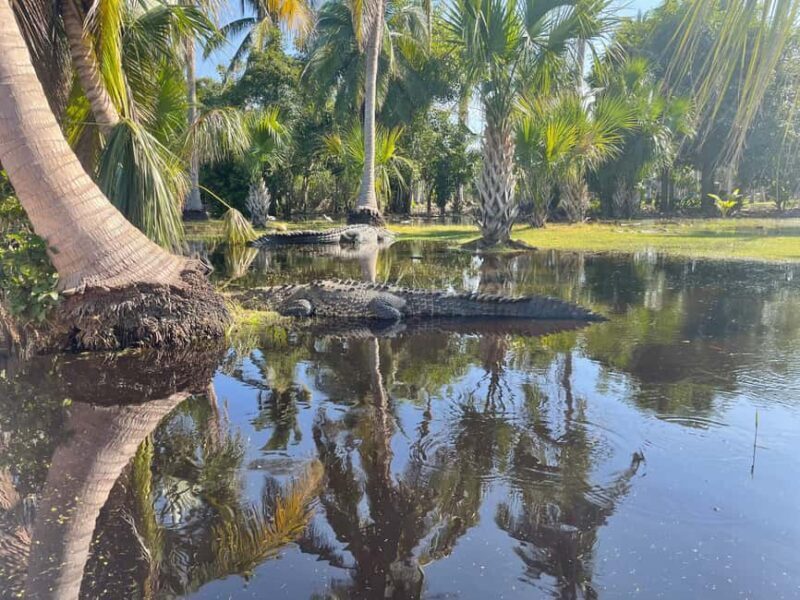 From Huatulco: Crocodile and Turtle Eco-Tour - An In-Depth Look at the Eco-Tour: Exploring Oaxacas Unique Ecosystems