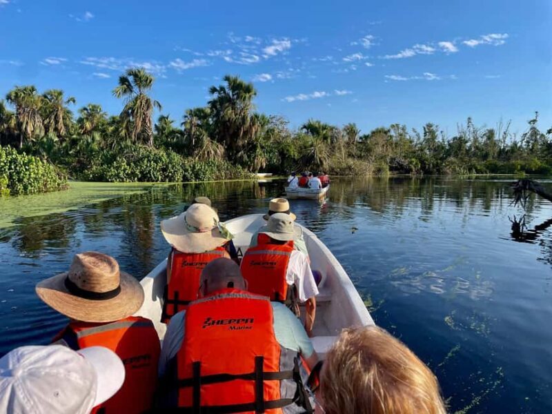 From Huatulco: Crocodile and Turtle Eco-Tour - Authentic Experiences and Hidden Gems