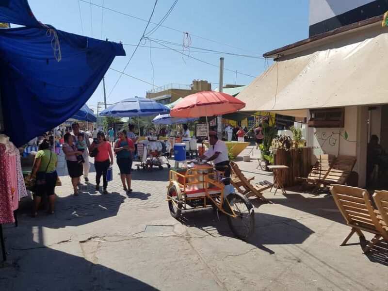 From Huatulco: Pochutla Market Tour with Local Guide - A Full Breakdown of the Tour Experience