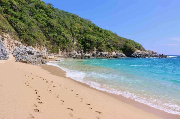 From Huatulco: Private 5 Bays Boat Tour - Activity Details