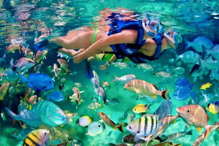 From Huatulco: Private 5 Bays Boat Tour - Experience Highlights