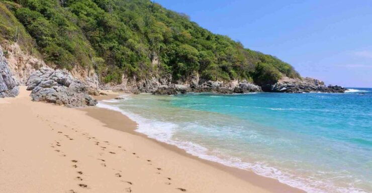 From Huatulco: Private 7 Bays Boat Tour - Tour Experience