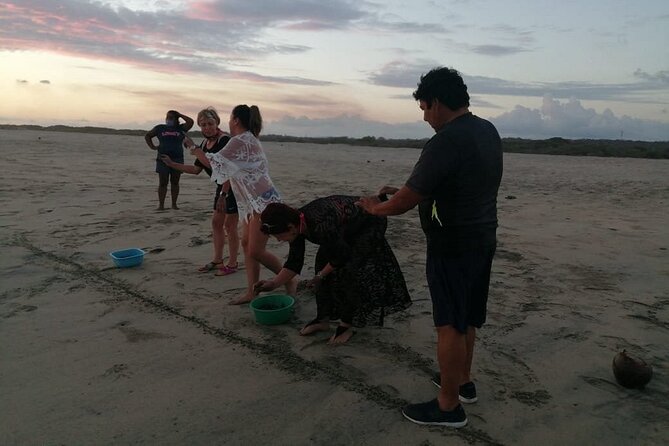 From Huatulco: Turtle Release & Bioluminescence - Tour Duration and Travel Time