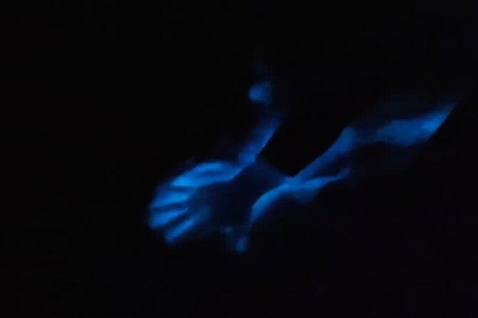From Huatulco: Turtle Release & Bioluminescence - Pricing, Terms, and Contact Information