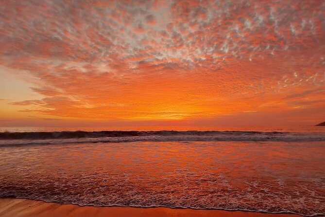 From Huatulco: Turtle Release & Bioluminescence - Directions