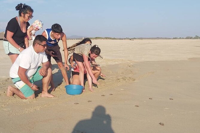 From Huatulco: Turtle Release & Bioluminescence - The Sum Up