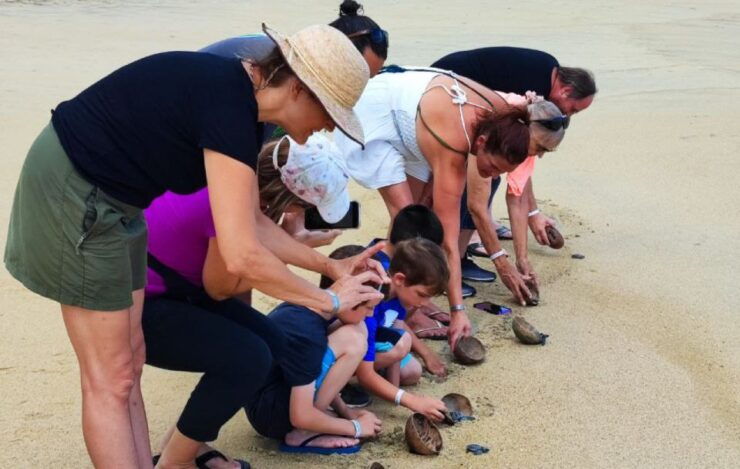 From Huatulco:Turtle Release and Bioluminescence Tour - Activity Details
