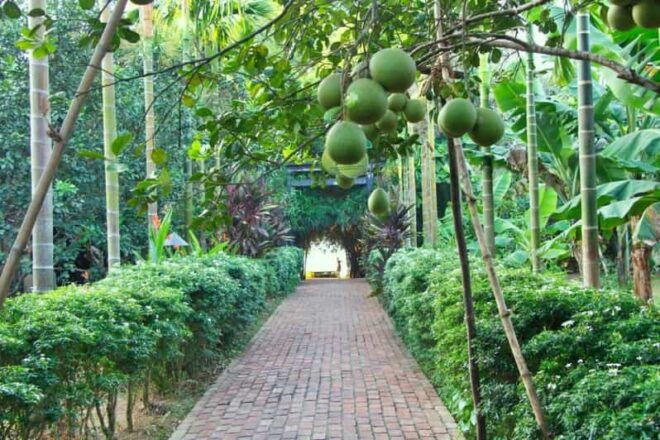 From Hue: 1 Day COOKING CLASS in THUY BIEU VILLAGE - Culinary Skills Learned