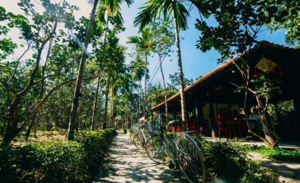 From Hue: 1 Day COOKING CLASS in THUY BIEU VILLAGE - Booking Process