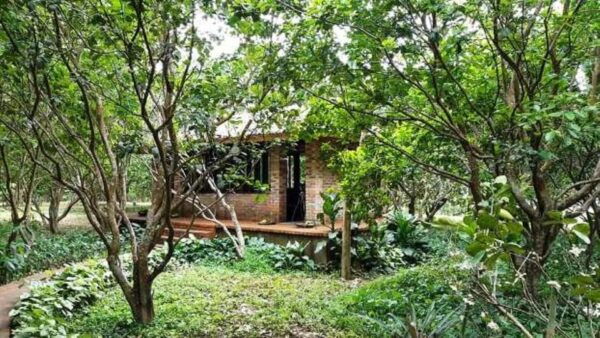 From Hue: 1 Day COOKING CLASS in THUY BIEU VILLAGE - Frequently Asked Questions