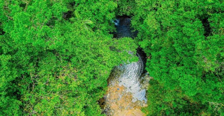 From Hue: 1 Day DISCOVERY BACH MA NATIONAL PARK - Good To Know