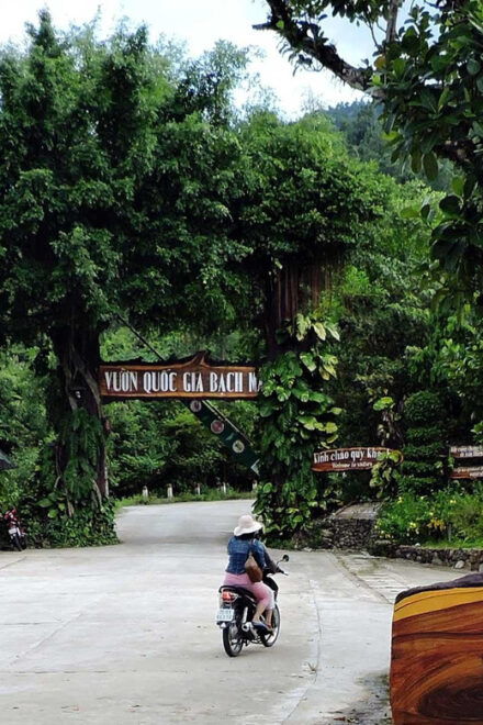 From Hue: 1 Day DISCOVERY BACH MA NATIONAL PARK - Visit to Do Quyen Waterfall