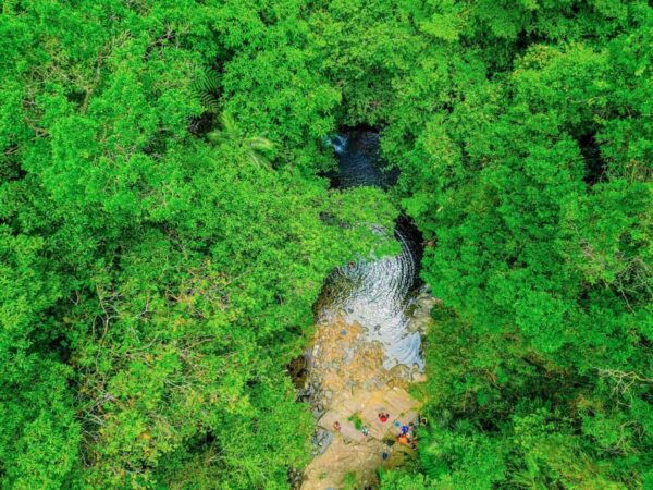 From Hue: 1 Day DISCOVERY BACH MA NATIONAL PARK - Booking Information