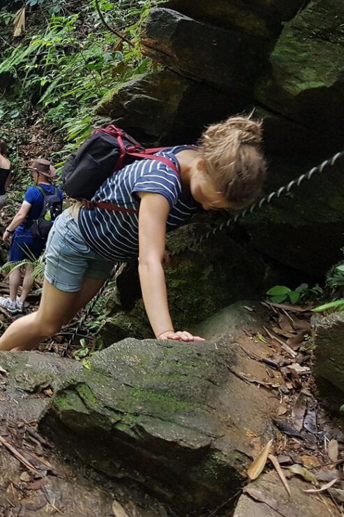 From Hue : Bach Ma National Park Hiking Day Adventure - Overview of the Adventure