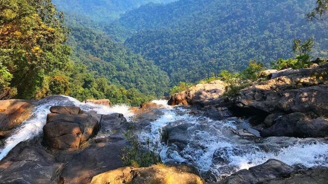 From Hue : Bach Ma National Park Hiking Day Adventure - Transportation Options