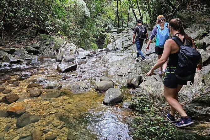 From Hue : Bach Ma National Park Trekking Adventure-Small Group - Discovering Bach Ma National Park: A Practical Review of the Small-Group Trekking Tour from Hue