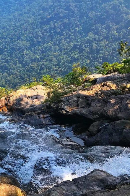 From Hue: Bach Ma National Park Trekking Day Trip - Included Services