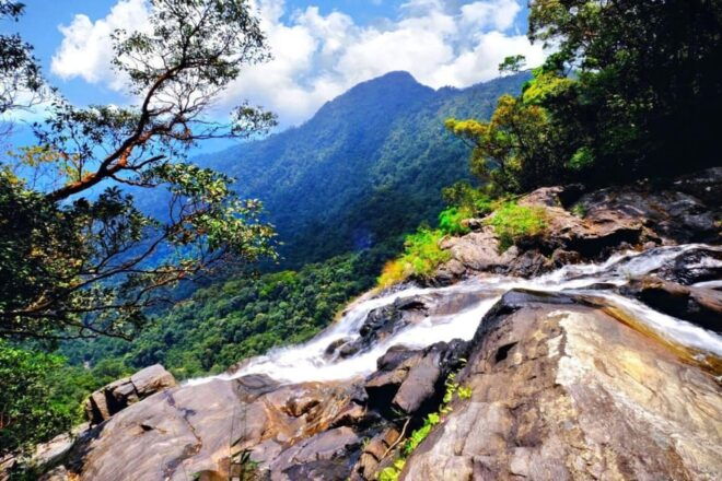 From Hue: Bach Ma National Park Trekking Day Trip - Booking Process