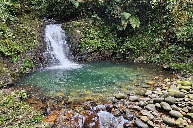 From Hue : Discover the Wonders of Bach Ma National Park - Final Thoughts