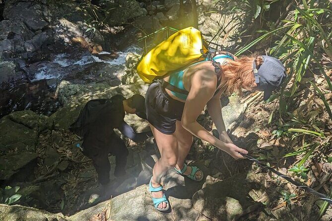 From Hue : Discover the Wonders of Bach Ma National Park - Frequently Asked Questions