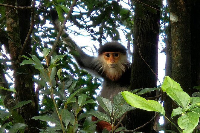 From Hue : Discover the Wonders of Bach Ma National Park - Final Thoughts