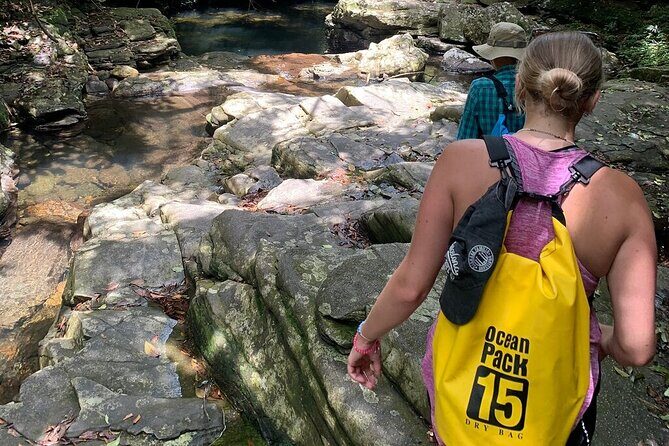 From Hue : Explore Bach Ma National Park Small Group Adventure - A Complete Look at the Experience