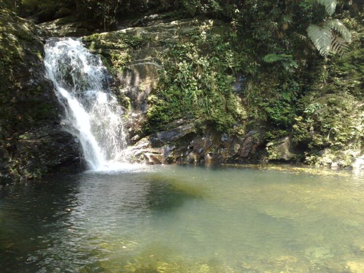 From Hue: Full-Day Bach Ma National Park Trekking Tour - Tour Activity Details