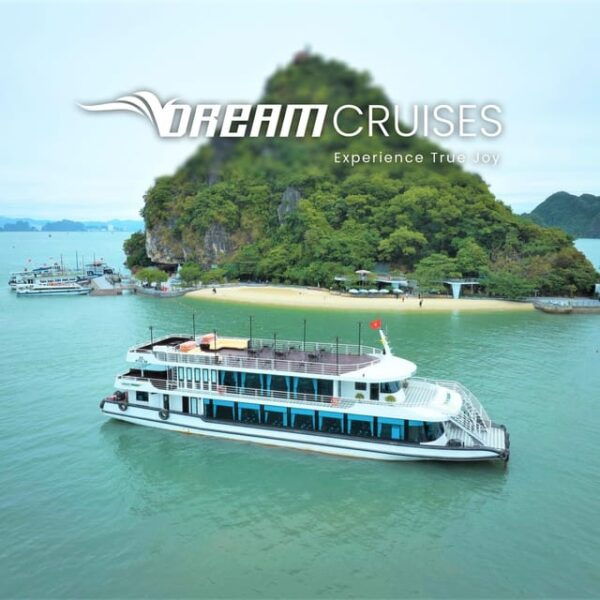 From Hue, Phong Nha : Ha Long Bay Day Cruise End at Ha Noi - Highlights of the Experience