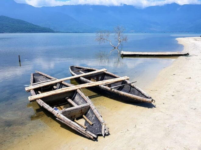 From Hue: Private Car Transfer to Hoi an With Scenic Stops - Driver and Vehicle Information