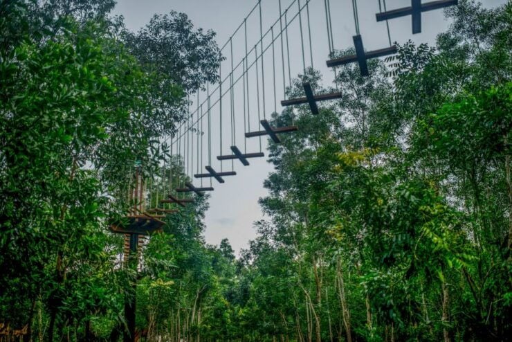 From Hue: Thanh Tan Hot Spring Zipline and Highwire Tour - Activity Highlights