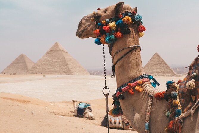 From Hurghada: Full-Day Trip to Cairo and Giza With Lunch - Tour Overview and Itinerary