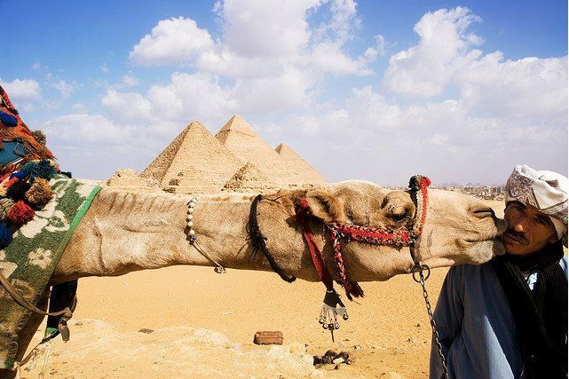 From Hurghada: Full-Day Trip to Cairo by Plane - Highlights of the Trip