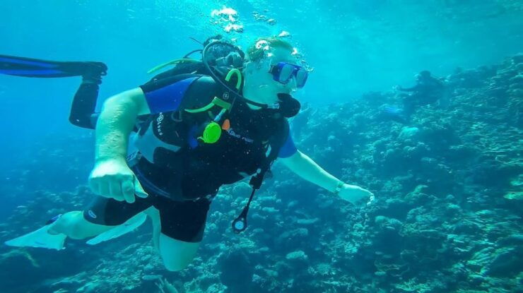 From Hurghada: Orange Island Snorkeling Cruise With Lunch - Experience Highlights