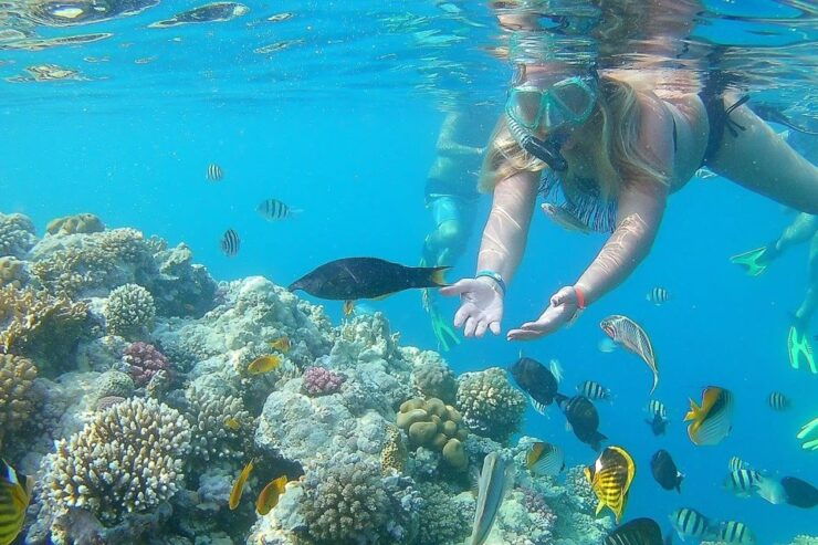 From Hurghada: Sharm El Naga Full-Day Snorkeling Tour - Tour Highlights