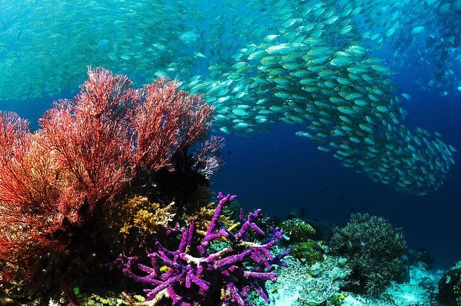 From Hurghada: Sharm El Naga Full-Day Snorkeling Tour - Tour Name and Operator Details